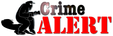Баннер: Криминальные преступления